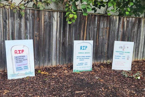 A photo of the tree graveyard signage in Allman Park.