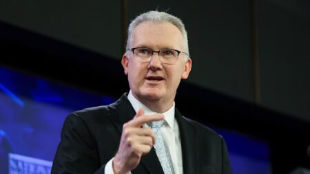 Tony Burke’s speech reveals working holiday, international student, backpacker ballot changes; Pauline Hanson responds; ABS net overseas migration numbers revealed