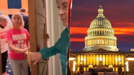 Lawmakers say they are standing at the gates against 'Trojan horses' promoting malign foreign interests