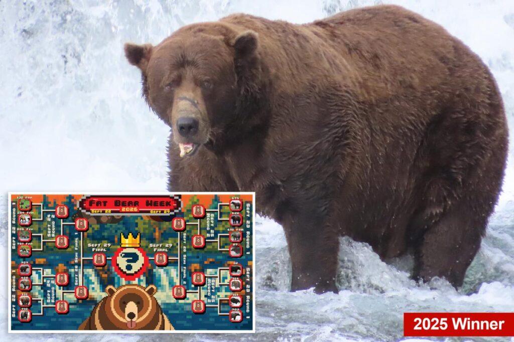 Fat bear week kicks off its 12th year — meet the contenders