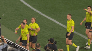 Ugly fan behaviour condemned after cans, bottles thrown at umpires