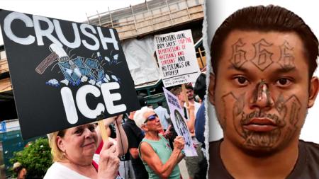 White House brings receipts after media claims noncriminal ICE arrests ‘soaring’: ‘False narratives’