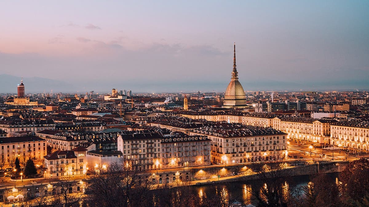 aerial image shows city of Turin