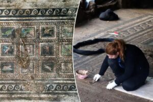 Stunning 2,000-year-old Roman mosaic unearthed in Turkey appears to honor family’s beloved cat and dog