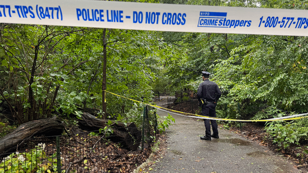 Woman found dead with unexplained trauma in Central Park as NYPD searches for answers
