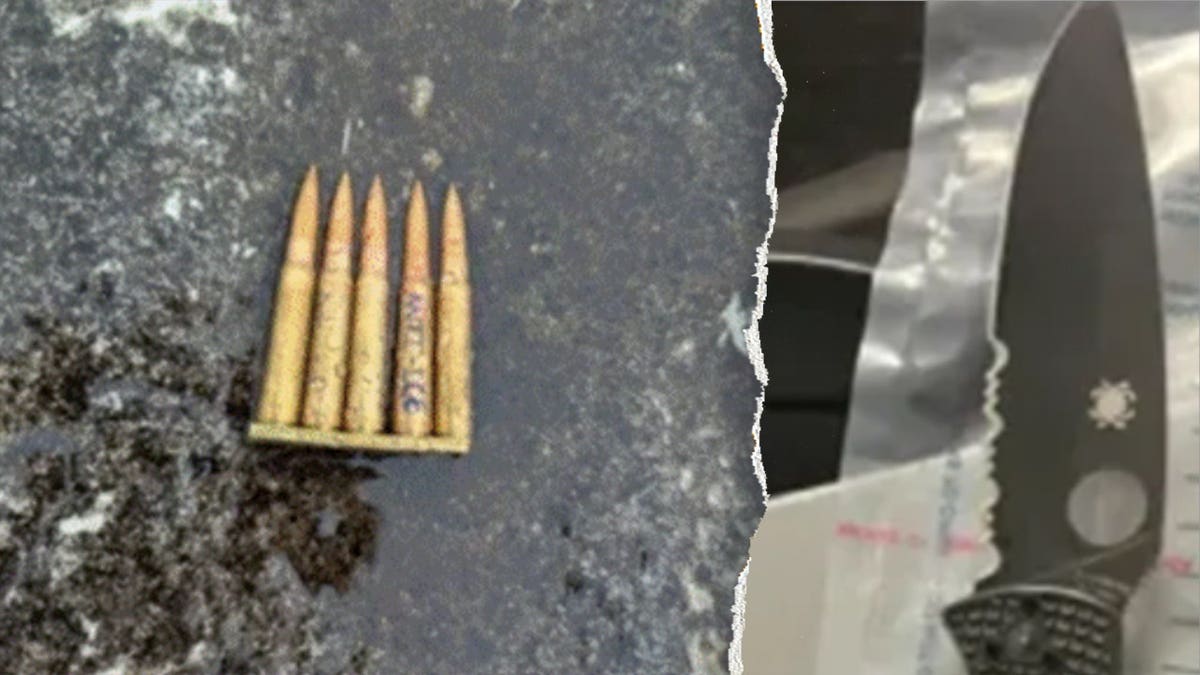 A knife and ammunition