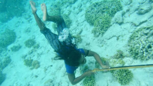 A duo goes against the tide to explain an origin of human endurance