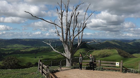 Visitors at the lookout near Strath Creek on Wednesday.