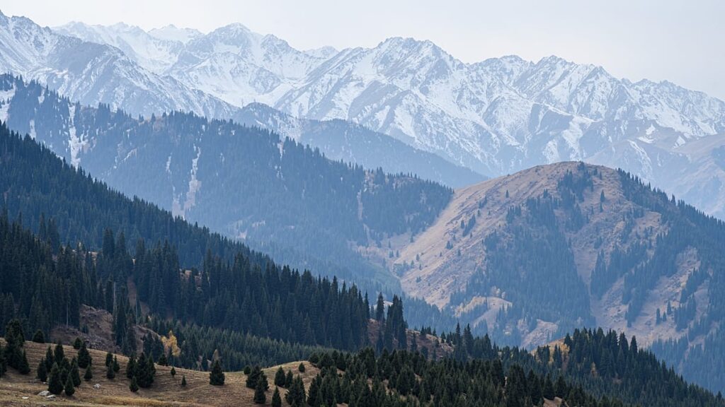 Discovering Almaty: Mountain mornings, street art and market flavours