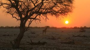 The world’s best destinations for ‘golden hour’