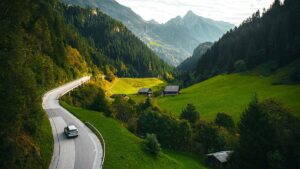 The best road trips to spot Europe’s most impressive wildlife