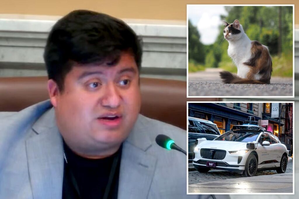 Minneapolis councilman mocked after claiming self-driving cars are ‘murdering’ pets: ‘Hide your cats’
