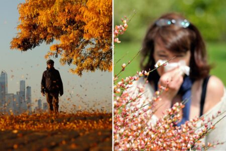 How to tell the difference between allergies vs a cold