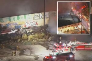 Massive fire erupts in LA’s Chinatown as flames rip through commercial building