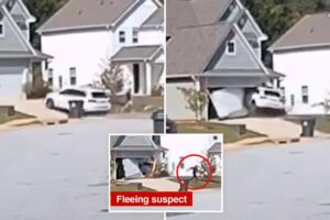 Dramatic footage captures car smashing into house during South Carolina police chase