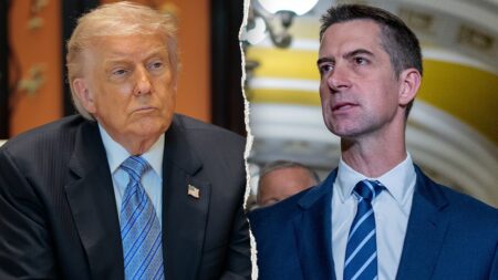 Trump drops Republican Senator's phone number in social post over fury on stalled bill