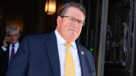 Firebrand GOP rep: Democrats side with Iran 'simply because they hate' Trump