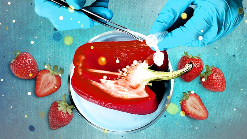 Fruit and vegetables at Australian supermarkets found to contain prohibited levels of pesticide residues