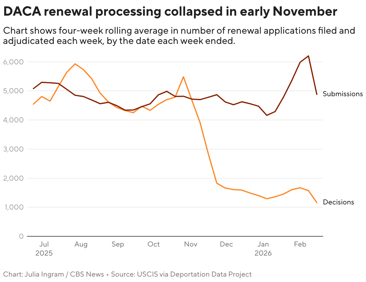 DACA renewal processing collapsed in early November (Line chart)