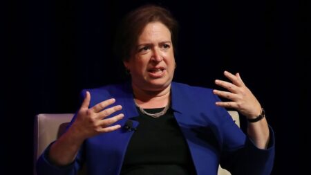 Supreme Court justice turns on her own court with dire warning about American democracy