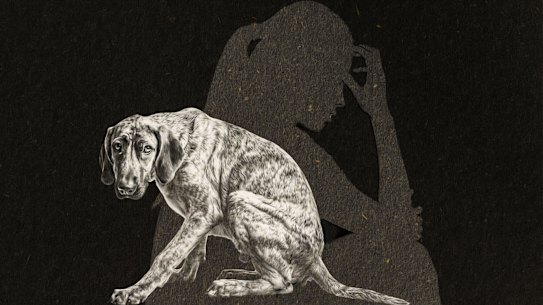 Harming, abusing or threatening to hurt pets is a documented method of coercive control as part of family violence. But in Australia, incidence data is lacking.