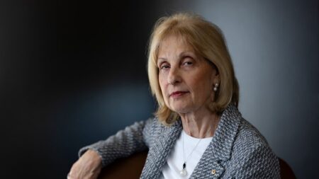 Antisemitism envoy Jillian Segal says new wave of hatred comes from progressive Australians
