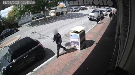 Businesses call for authorities to help after teenager allegedly brandishes machete at shops