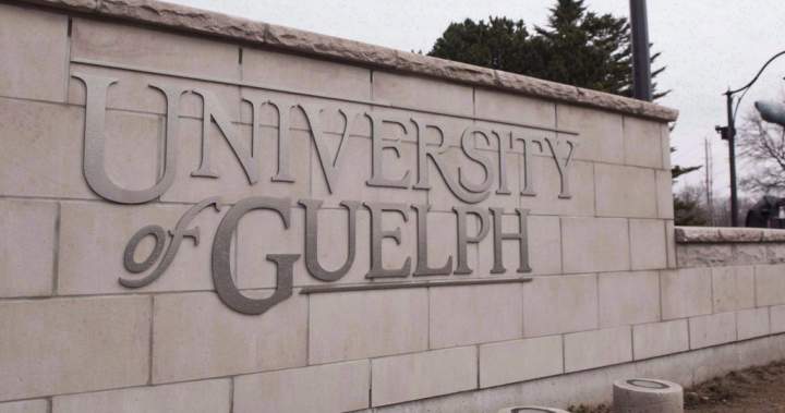 University of Guelph, police to join ‘homecoming working group’ after chaotic party