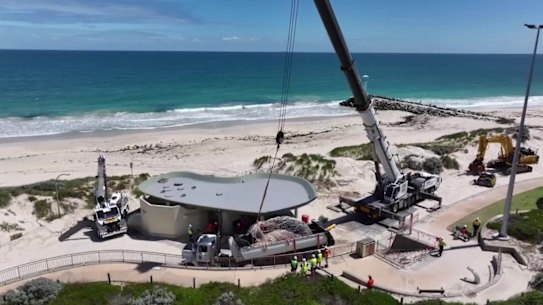 A whale carcass is removed from City Beach.