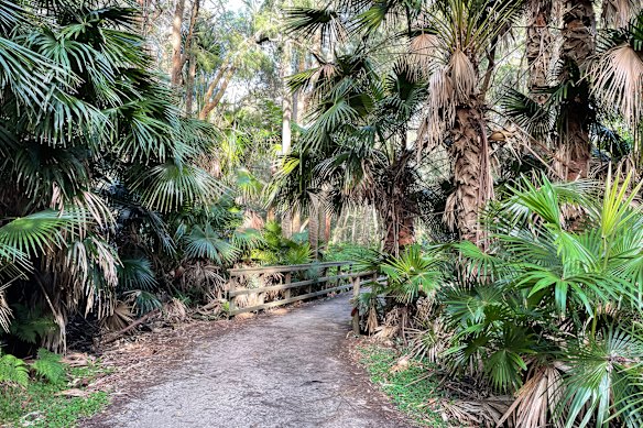 Several women have reported sexual touching and harassment on the Narrabeen Lagoon trail over the past week.