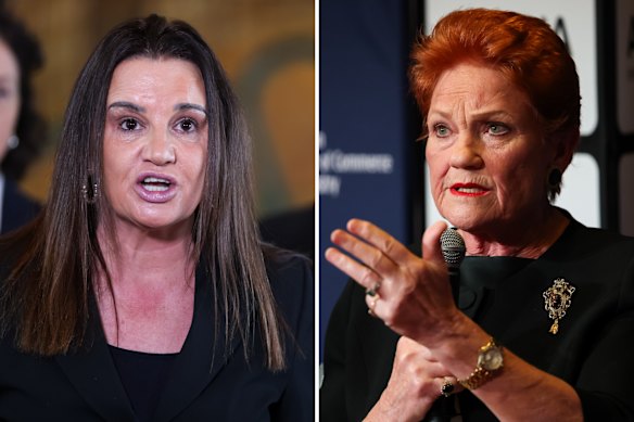 Jacqui Lambie was mocked by One Nation leader Pauline Hanson over her personal health issues. 