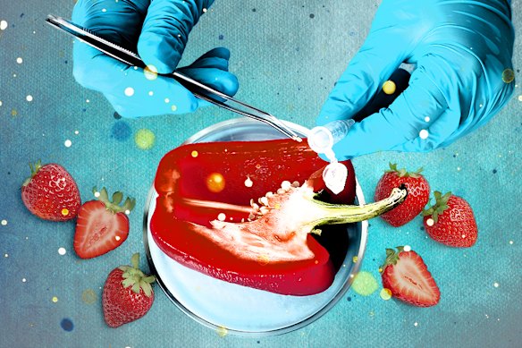 Pesticides violating legal limits have been found in Australian supermarket produce. 