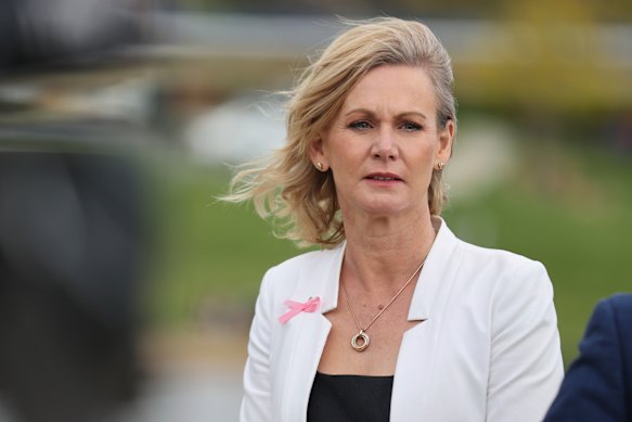 NSW National Party MP Nichole Overall was targeted by a nasty, threatening meme. 