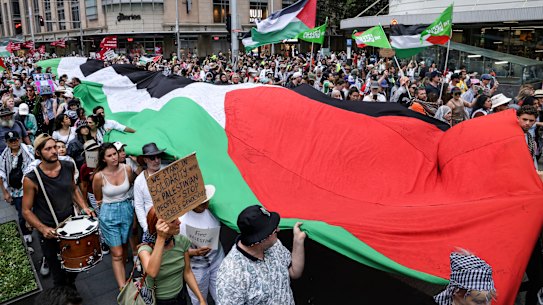 Pro-Palestinian protesters in Sydney in October last year.
