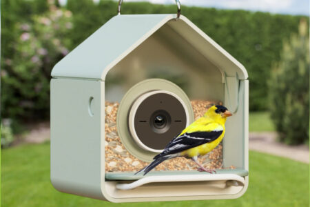A New Bird-Recognizing Feeder Under $100 Launches for Beginner Bird-Watchers