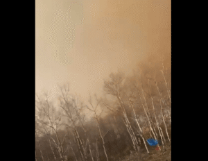Deaths and injuries reported after fire breaks out at CFB Wainwright
