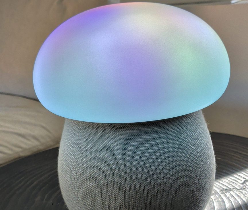 Mori with blue and purple color shades