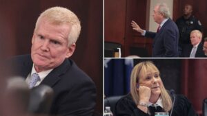 Alex Murdaugh's defense makes 'high risk' move to show DNA proves he didn't kill family, prosecutor says