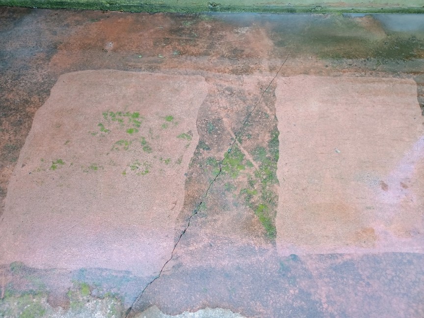 A side-by-side view of two sections of concrete pavement after they've been washed with two different pressure washers. The side that was cleaned with the AR Blue Clean shows more moss still visible than the side cleaned with the LawnMaster model.