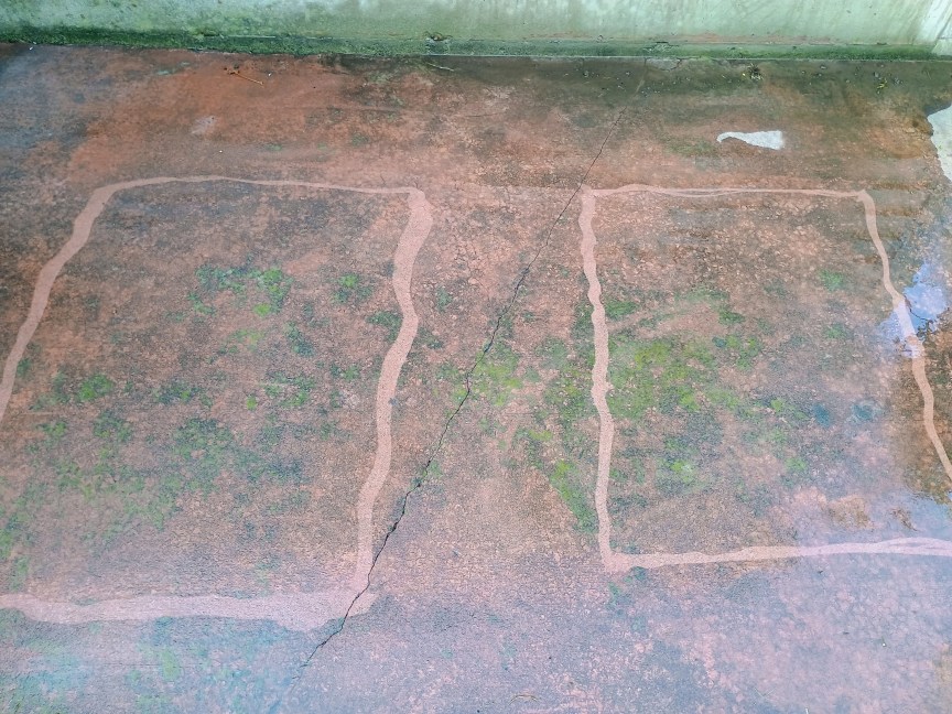 The outline of two rectangles marked off by a power washer on a dirty, mossy concrete patio.