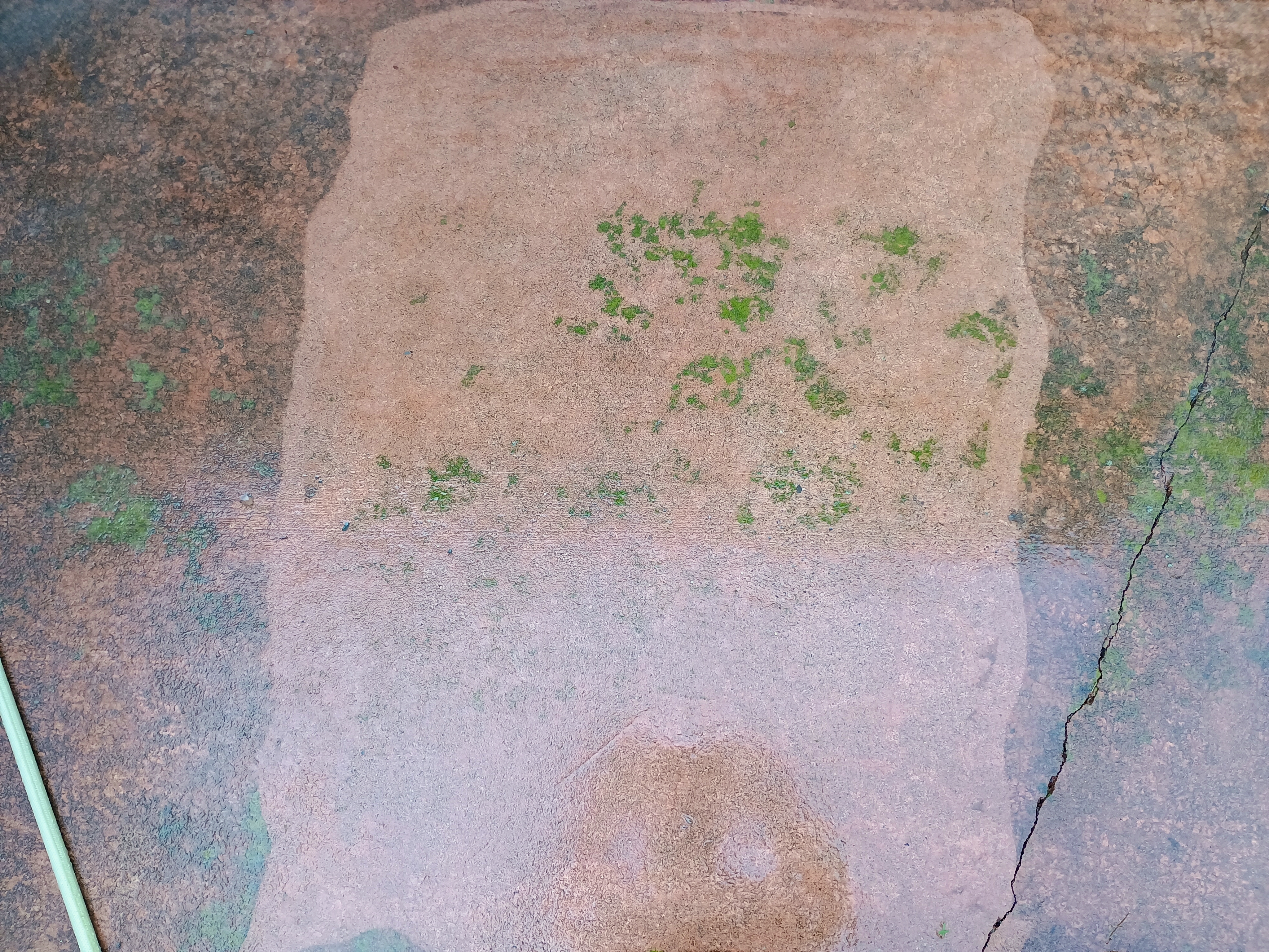 A section of pavement after it was cleaned with the AR Blue Clean 383SS power washer. It's much cleaner, but there are still some mossy areas visible.