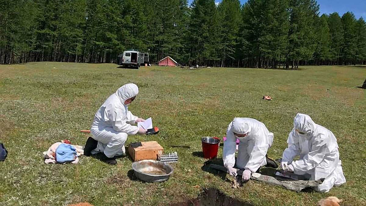 Workers in protective uniforms conduct testing in Russia amid heightened precautions