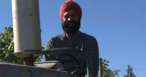 Okanagan growers say crop insurance isn’t keeping up with a changing climate