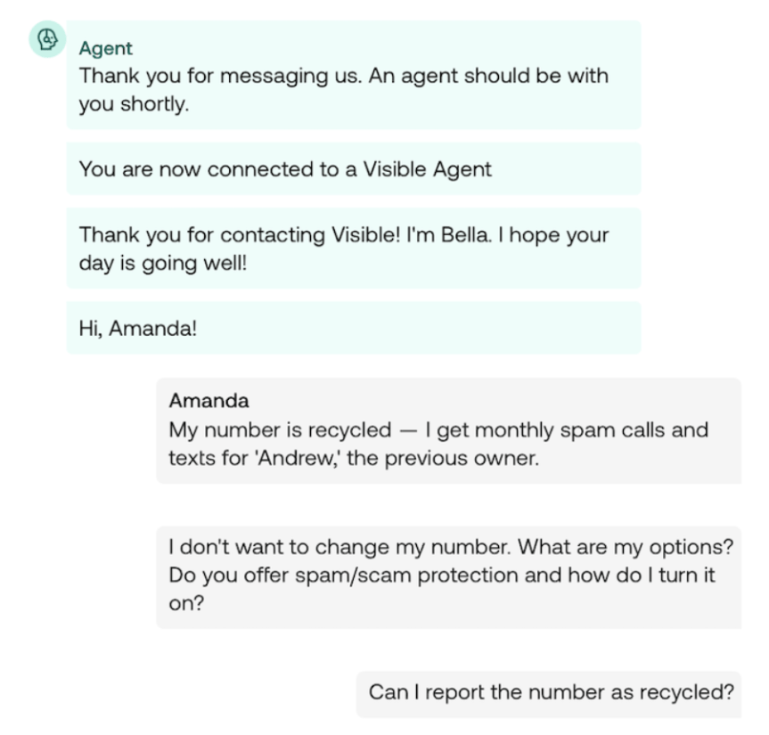 A screenshot of me chatting with the AI agent my phone provider uses for customer service
