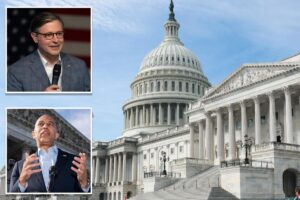 House Democrats add eight seats to midterm target map month before election day