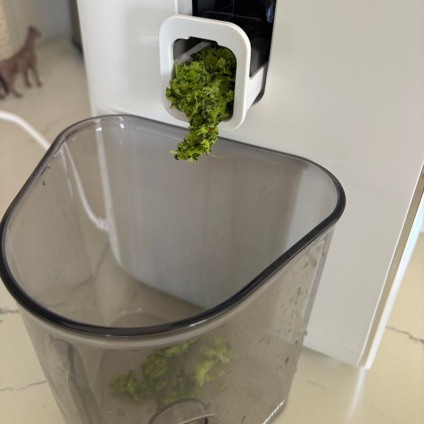 Pulp coming out of the Vitamix MaxExtract.