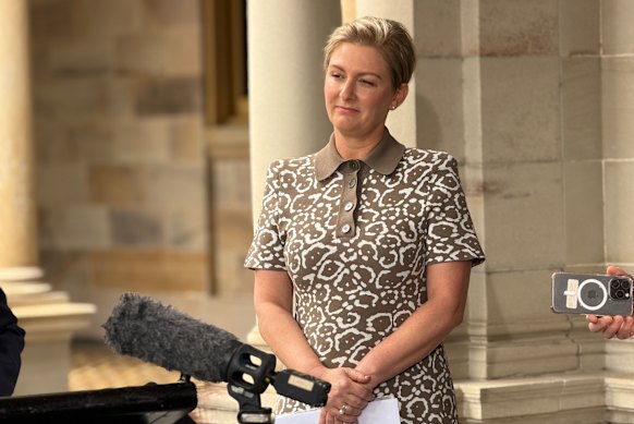 Outgoing Queensland Child Safety Minister Amanda Camm.