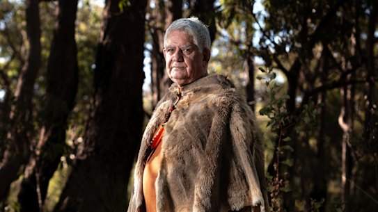 Former Indigenous affairs minister Ken Wyatt.