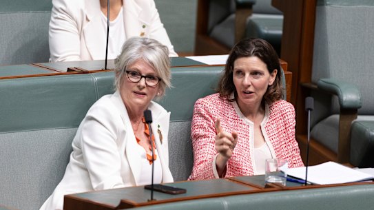 Helen Haines and Allegra Spender in federal parliament. 