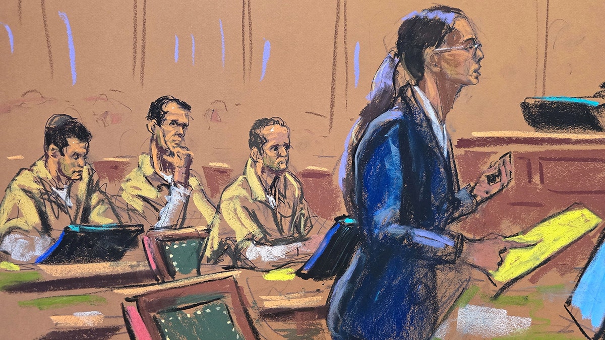 Alexander brothers in court